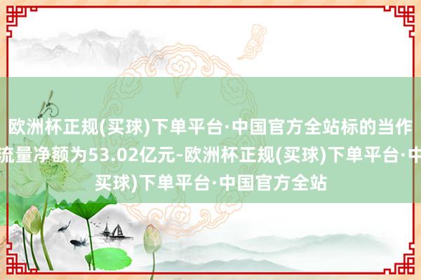 欧洲杯正规(买球)下单平台·中国官方全站标的当作产生的现款流量净额为53.02亿元-欧洲杯正规(买球)下单平台·中国官方全站