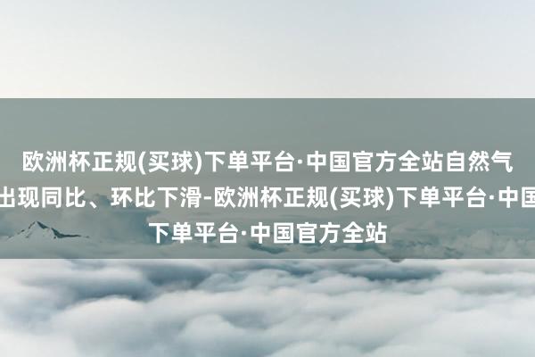 欧洲杯正规(买球)下单平台·中国官方全站自然气重卡销量出现同比、环比下滑-欧洲杯正规(买球)下单平台·中国官方全站