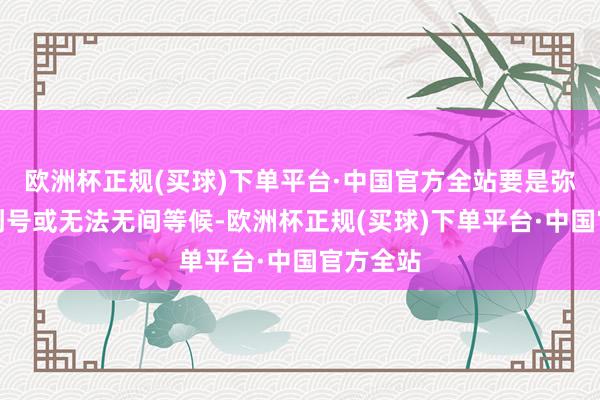 欧洲杯正规(买球)下单平台·中国官方全站要是弥远挂不到号或无法无间等候-欧洲杯正规(买球)下单平台·中国官方全站