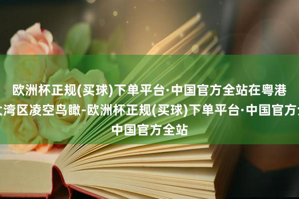 欧洲杯正规(买球)下单平台·中国官方全站在粤港澳大湾区凌空鸟瞰-欧洲杯正规(买球)下单平台·中国官方全站