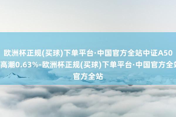 欧洲杯正规(买球)下单平台·中国官方全站中证A500高潮0.63%-欧洲杯正规(买球)下单平台·中国官方全站